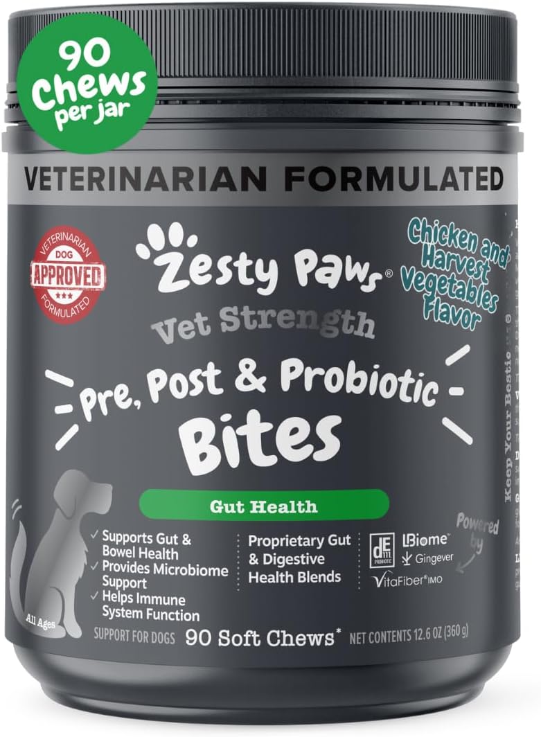 Dog probiotic soft chews product photo
